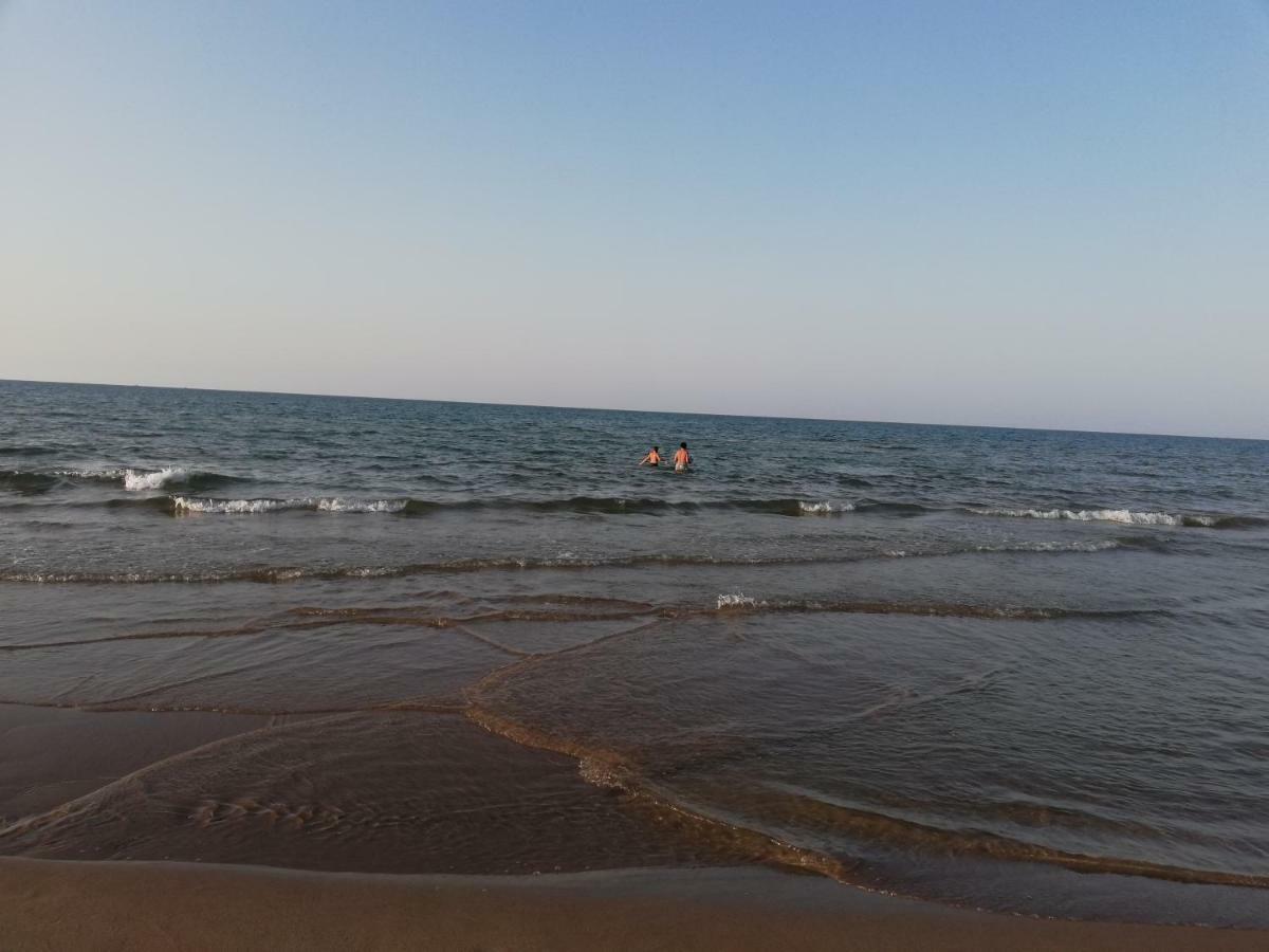 Al Waha Ap2 شقة *